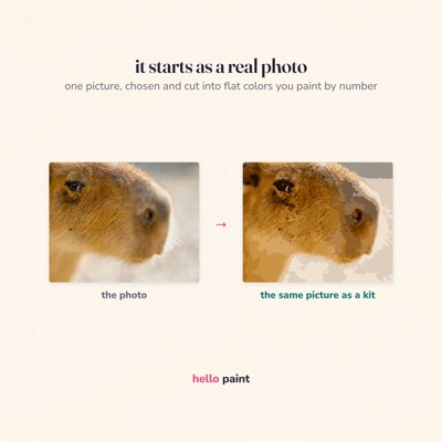 12 it starts as a real photo