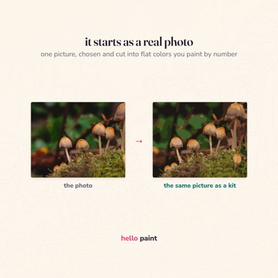 12 it starts as a real photo